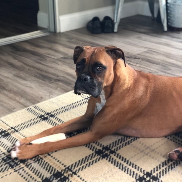 Meet your Posher, Terra - Picture 2 of 3